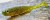5kom - Kopyto Sharpfishes Glossy Killer 7,5cm 3gr Olive