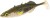 5kom - Mamac Mikado Real Fish Stickleback 8cm Green Pumpkin