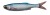 5ks - Gumová nástraha Savage Gear Craft Dying Minnow 7.5cm 2g Blue Pearl