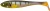 6 kom - Gumena Mamac Illex Magic Slim Shad 4 8cm 4,1gr Blue Gill