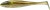 6 kom - Gumena Mamac Illex Magic Slim Shad 4 8cm 4,1gr Magic Ayu