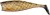 6 kom - Gumena Mamac Illex Nitro Shad 65 6,5cm 3,6gr Bright Carp