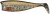 6 kom - Gumena mamac Illex Nitro Shad 65 6,5cm 3,6gr Glow Sprat