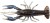 6 kom - Gumena Mamac Savage Gear 4D Craw F 7,5cm 5,5gr Magic Craw
