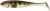6 kom - Gumena Mami Illex Magic Slim Shad 4 8cm 4,1gr Magic Green Perch