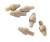 6kom - Gumeni adapter Preston In-Line Quick Change Beads
