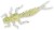 6kom - Gumeni Mamac Doiyo Tonbo Larva 60mm