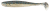 6kom - Gumeni Mamac Keitech Easy Shiner 4,5" 11,4cm 7,3gr Bluegill Flash