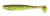 6kom - Gumeni Mamac Keitech Easy Shiner 4,5" 11,4cm 7,3gr Green Pumpkin/Chartreuse