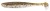 6kom - Gumeni Mamac Keitech Easy Shiner 4,5" 11,4cm 7,3gr Green Pumpkin PP/Shad