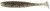 6kom - Gumeni Mamac Keitech Easy Shiner 4,5" 11,4cm 7,3gr Silver Shad