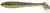 6kom - Gumeni Mamac Keitech FAT Swing Impact 3,8" 9,6cm 8,5gr Gold Flash Minnow