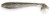 6kom - Gumeni Mamac Keitech FAT Swing Impact 4,3" 10,9cm 10,3gr Silver Flash Minnow