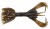 6kom - Gumeni Mamac Keitech Hyper Spider 3,2" 8cm 5gr