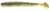 6kom - Gumeni Mamac Keitech Swing Impact 4,5" 11,4cm 9gr Green Pumpkin/Chartreuse