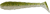 6kom - Gumeni Mamac SELECT Fatfish 2,4" 6,1cm