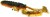 6kom - Gumeni mamac Westin CreCraw Slim Creaturebait 5,5cm 1,5g Clear Water Mix 22