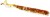 6kom - Gumeni Mamac Westin Ned Worm Curltail 5cm 0,5g Bass Hunter
