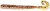 6kom - Gumeni Mamac Westin Ned Worm Curltail 5cm 0,5g