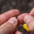 6kom - Helikopterske perlice Avid Outline Tungsten Naked Heli Beads