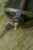 6kom - Perlice Korum Smokescreen Quick Change Bolt Beads