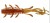 6ks - Gumová Nástraha Berkley Sick Bug 10cm Spring Craw
