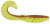 6ks - Gumová Nástraha Rapala Crushcity Curl 4 11,6cm 7,6gr Motor Oil Chartreuse