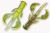 7kom - Gumeni Mamac Crazy Fish Nimble 6,5cm 2,3gr 30D Caddisfly Pupa