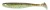 7kom - Gumeni Mamac Keitech Easy Shiner 3,5" 8,9cm 3,9gr Green Pumpkin/Chartreuse
