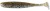 7kom - Gumeni Mamac Keitech Easy Shiner 3,5" 8,9cm 3,9gr Silver Shad