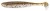 7kom - Gumeni Mamac Keitech Easy Shiner 4" 10,2cm 5,5gr Green Pumpkin PP/Shad