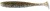 7kom - Gumeni Mamac Keitech Easy Shiner 4" 10,2cm 5,5gr Silver Shad