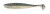 7kom - Gumeni Mamac Keitech Easy Shiner 4" 10,2cm 5,5gr