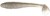 7kom - Gumeni Mamac Keitech FAT Swing Impact 3,3" 8,4cm 5,6gr Tennessee Shad