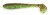 7ks - Gumová Nástraha Keitech FAT Swing Impact 3,3" 8,4cm 5,6gr Green Pumpkin PP/Chart 7ks - Gumová Nástraha Keitech FAT Swing Impact 3,3" 8,4cm 5,6gr Green Pumpkin PP/Chart