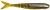 8 kom - Gumena Mamac Strike King KVD Perfect Plastics Blade Minnow 11,5cm Blue Gill