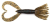 80ks - Gumová Nástraha Keitech Little Spider 2" 5,1cm 1,1gr Green Pumpkin PP. Blue