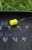 8kom - Gotovi Predvez Matrix MXC-3 4” Boilie Pin Rigs
