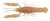 8kom - Gumena Mamac Savage Gear 3D Raka Rattle 6,7cm 2,9gr Hazel Ghost