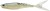 8kom - Gumeni Mamac Berkley Cullminnow 7,5cm 2gr