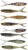 8kom - Gumeni Mamac Berkley Cullminnow Mixpack Clear Water 7,5cm 2gr