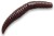 8kom - Gumeni Mamac Crazy Fish MF Baby Worm Plovoucí Sýr smeđa 5cm