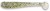 8kom - Gumeni Mamac Crazy Fish Nano Minnow 5,5cm 40 White Tea
