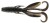 8kom - Gumeni Mamac Daiwa Steez Hog 7,6cm