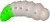 8kom - Gumeni Mamac FreshLures Mokhnatka 1,2" 3cm 1,58gr #201