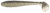 8kom - Gumeni Mamac Keitech FAT Swing Impact 2,8" 7,1cm 3,5gr Bluegill Flash