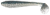 8kom - Gumeni Mamac Keitech FAT Swing Impact 2,8" 7,1cm 3,5gr Hasu (Silver Shiner)