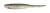 8kom - Gumeni Mamac Keitech Shad Impact 4" 10,2cm 5,2gr Silver Flash Minnow