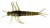 8kom - Gumeni Mamac Savage Gear 3D PVC Mayfly 5cm