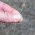 8kom - Predvezi Drennan Method Bandits Carp Method 9cm